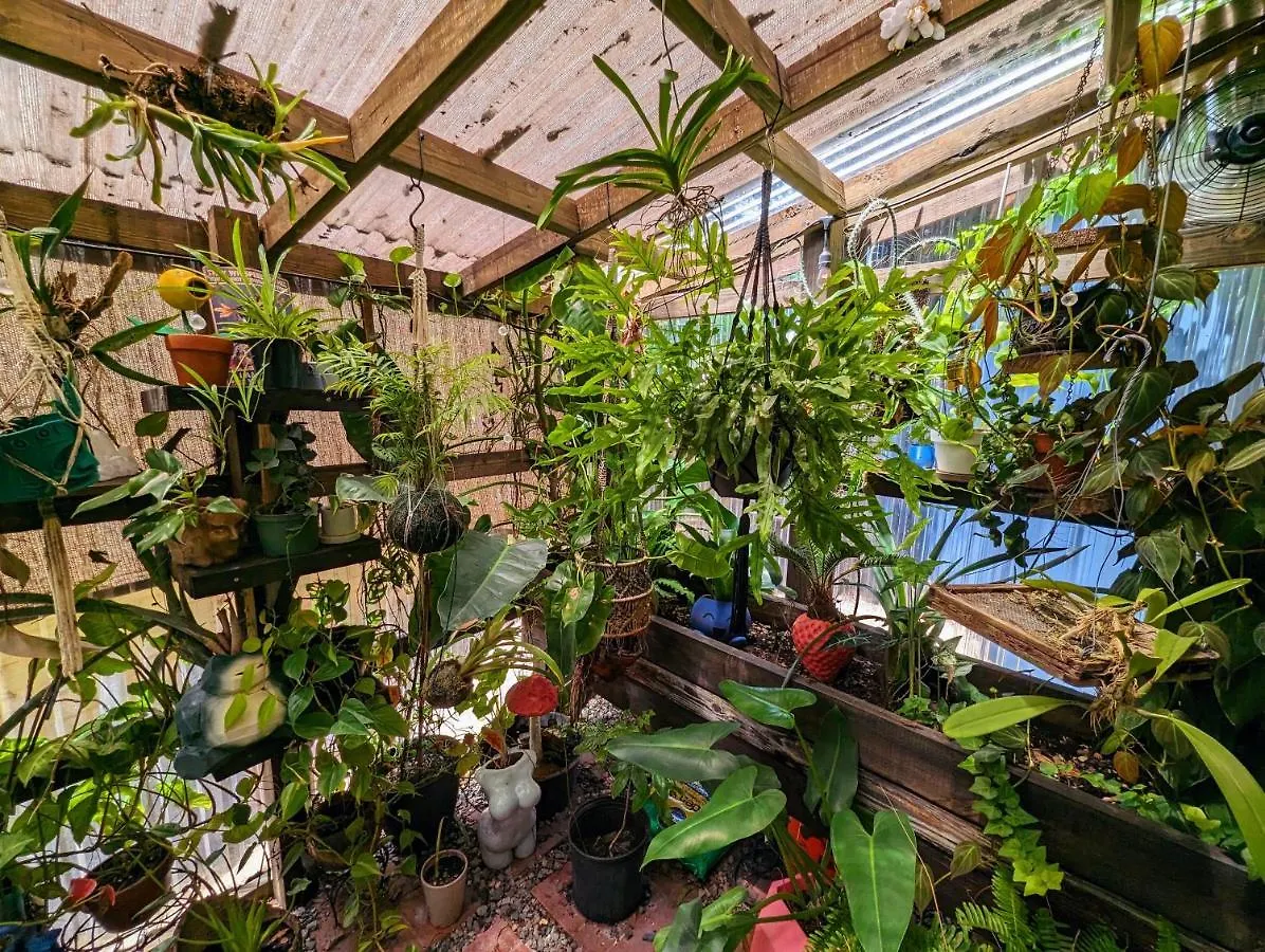 Cozy Af Tiny-House Oasis Villa Tampa