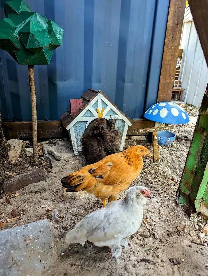 Cozy Af Tiny-House Oasis Villa Tampa